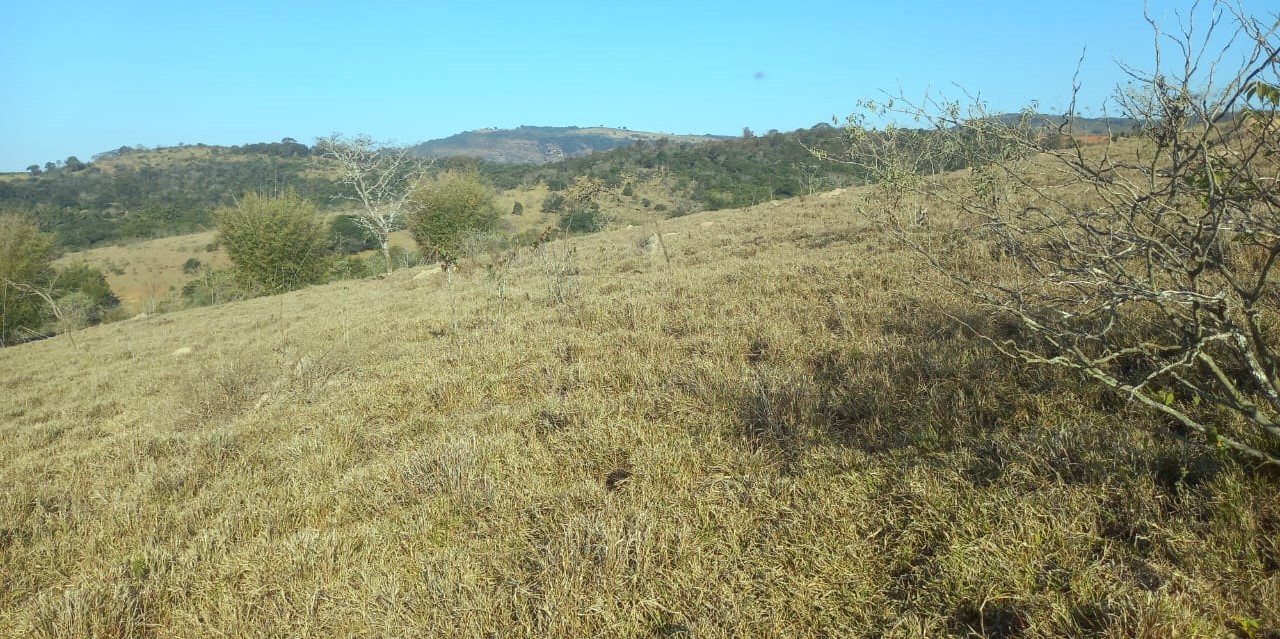 Fazenda à venda com 1 quarto, 992200m² - Foto 8