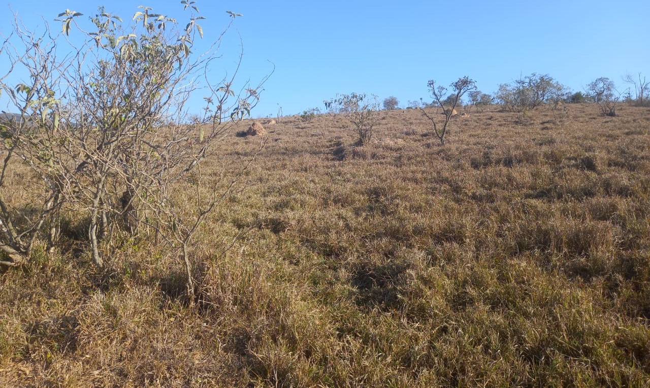 Fazenda à venda com 1 quarto, 992200m² - Foto 4