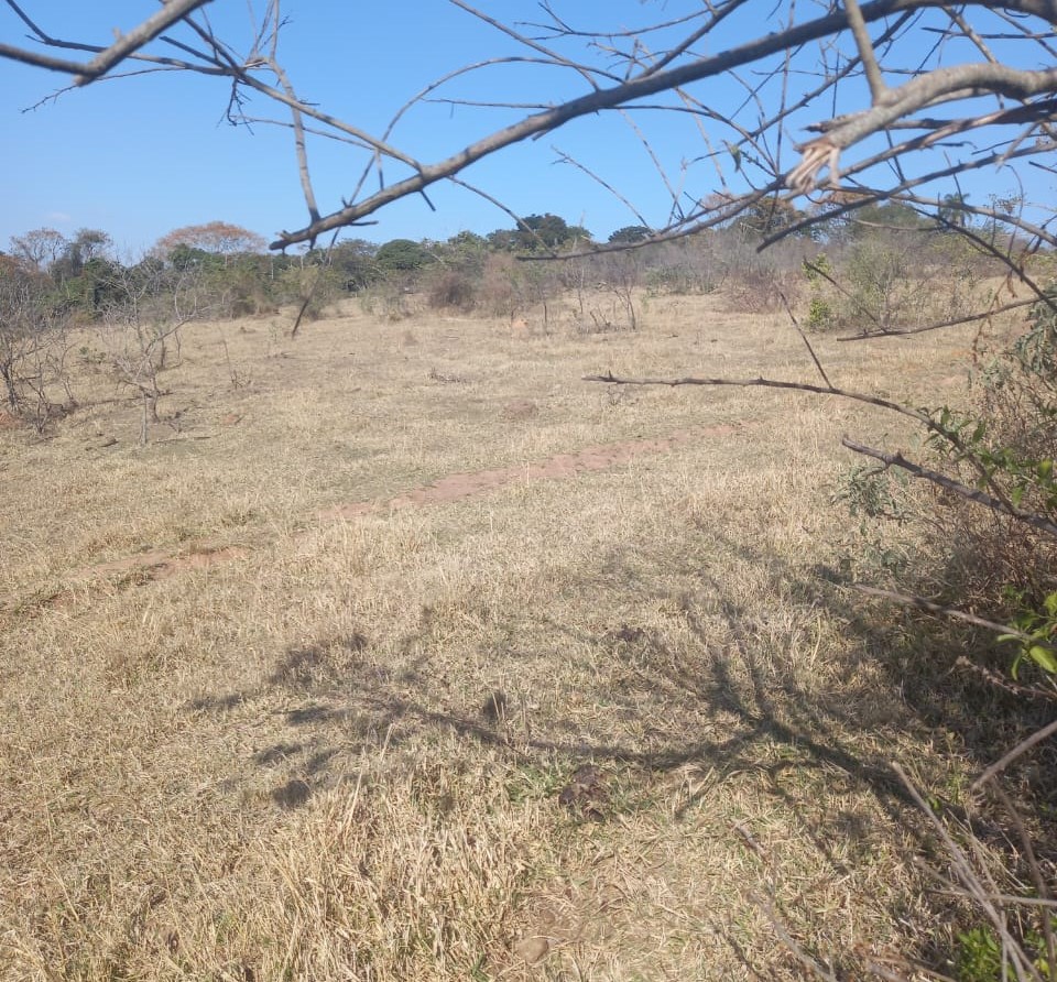 Fazenda à venda com 1 quarto, 992200m² - Foto 3