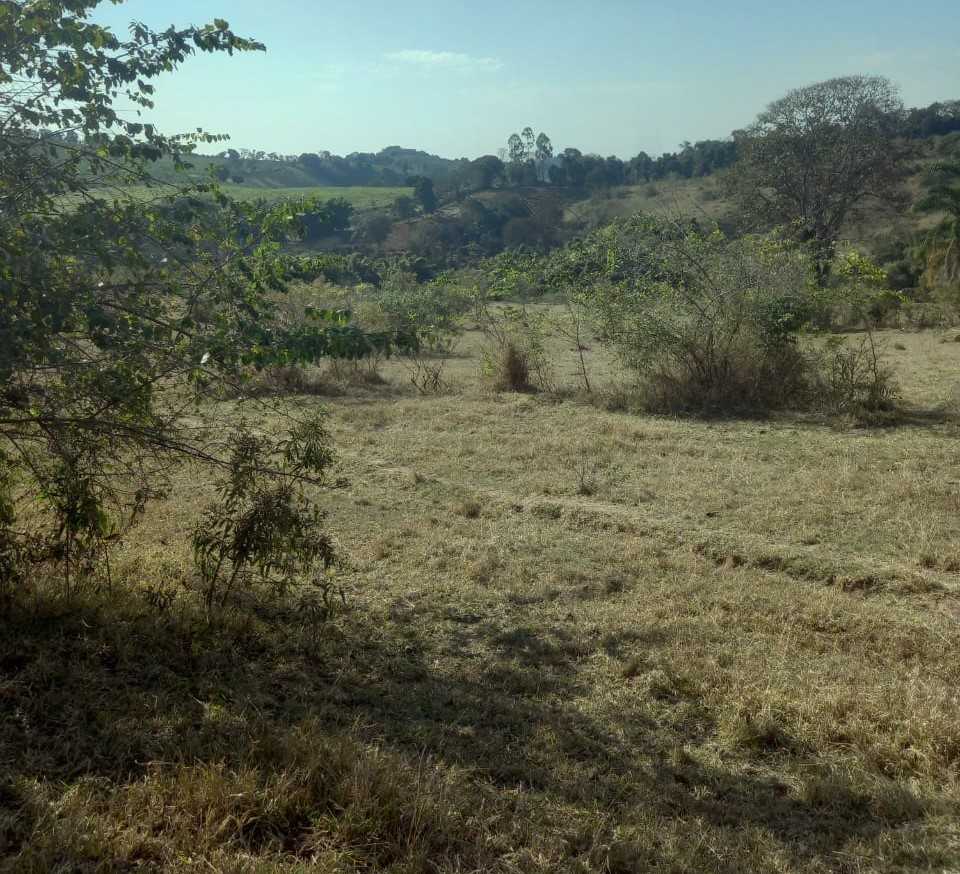 Fazenda à venda com 1 quarto, 992200m² - Foto 9