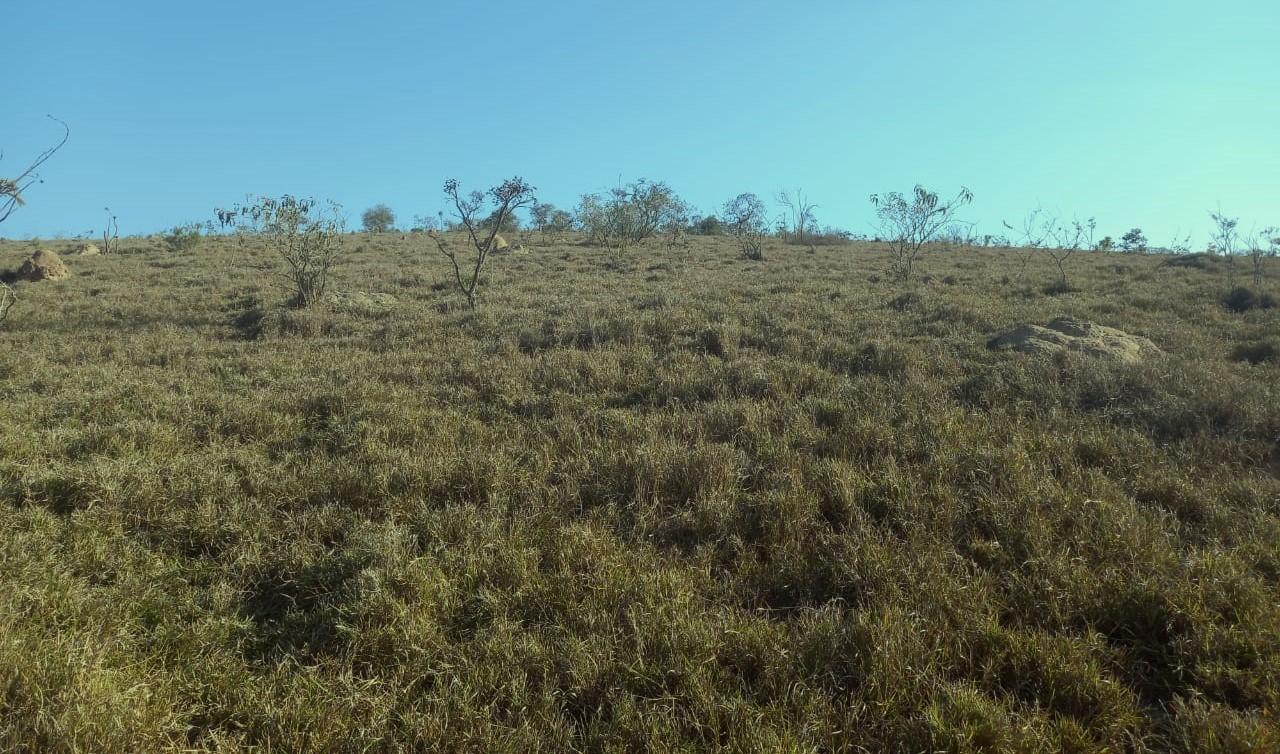 Fazenda à venda com 1 quarto, 992200m² - Foto 10