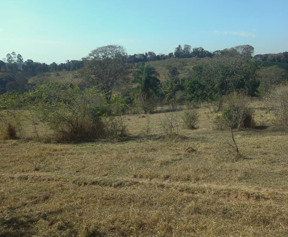 Fazenda à venda com 1 quarto, 992200m² - Foto 6