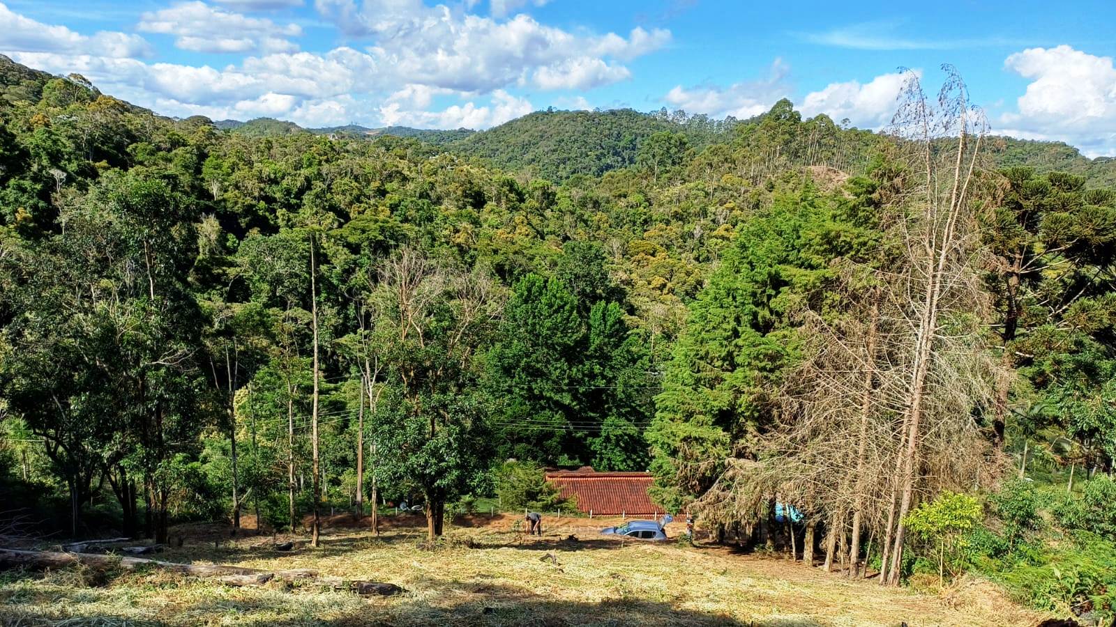 Chácara à venda com 1 quarto, 5000m² - Foto 2