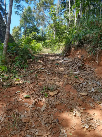 Chácara à venda com 1 quarto, 5000m² - Foto 10