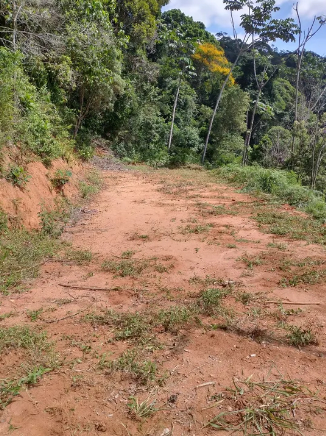 Chácara à venda com 1 quarto, 5000m² - Foto 12