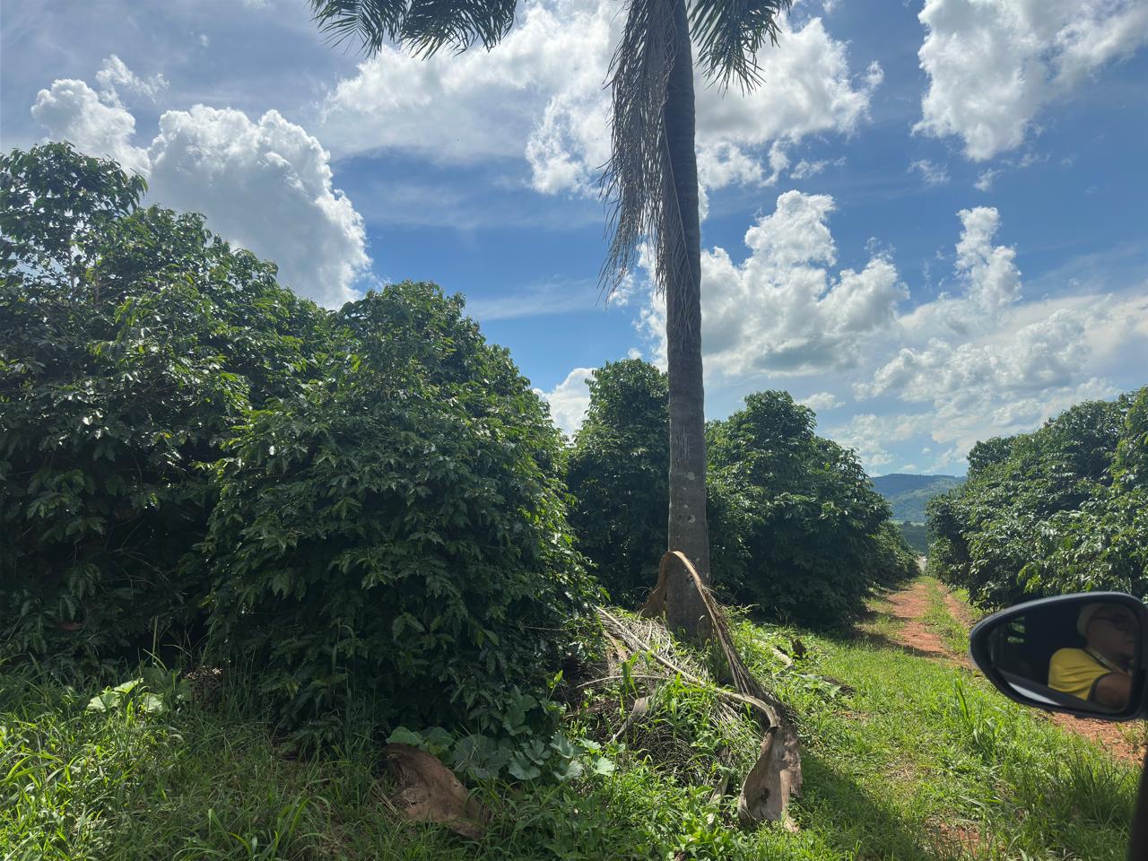 Fazenda à venda com 2 quartos - Foto 14