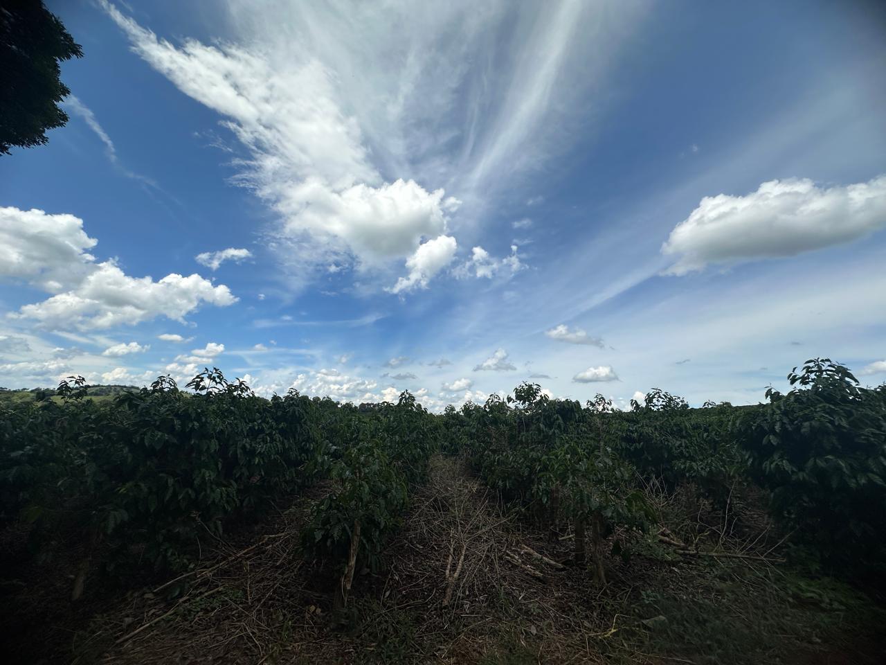Fazenda à venda com 2 quartos - Foto 21
