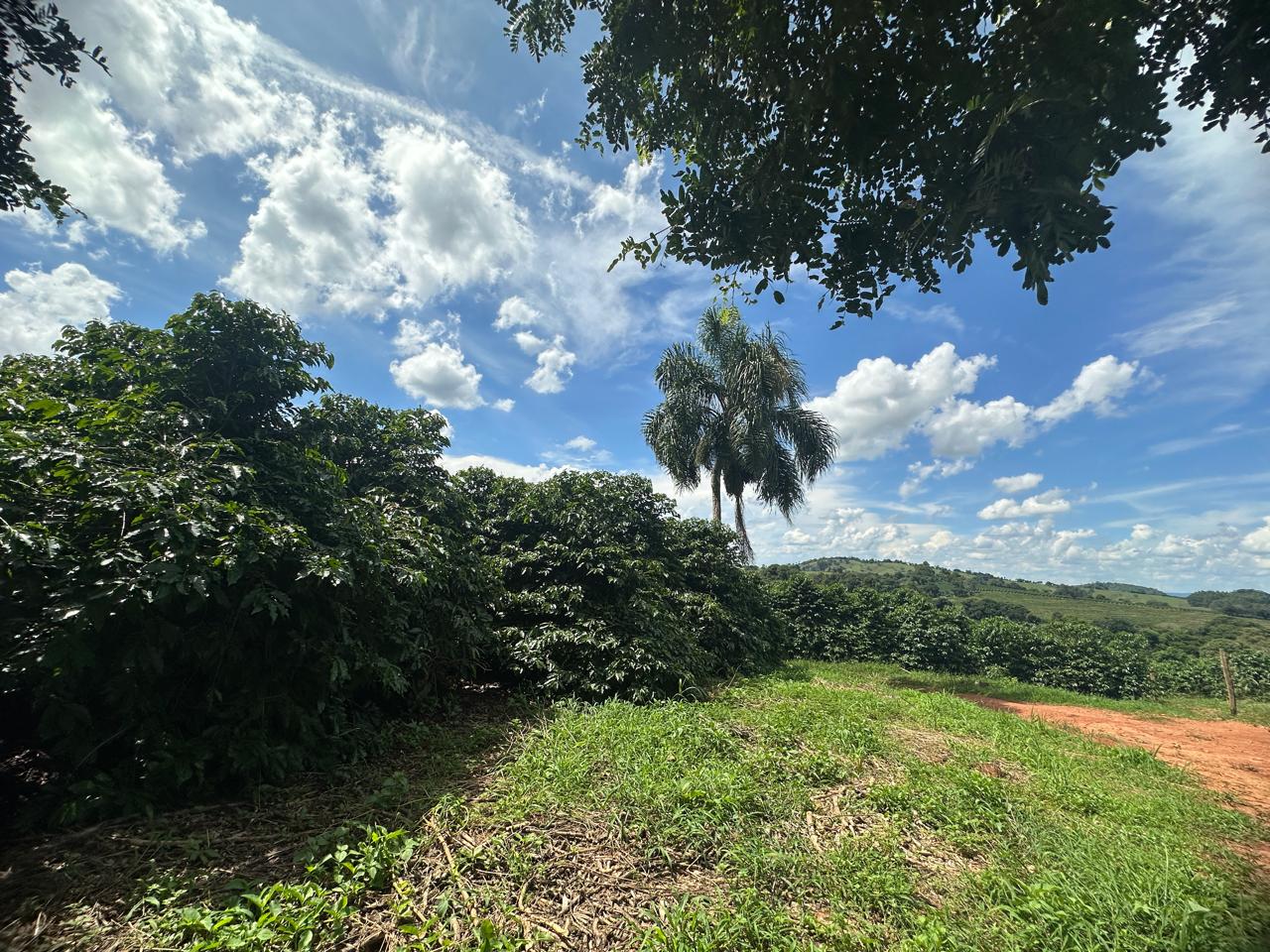 Fazenda à venda com 2 quartos - Foto 15
