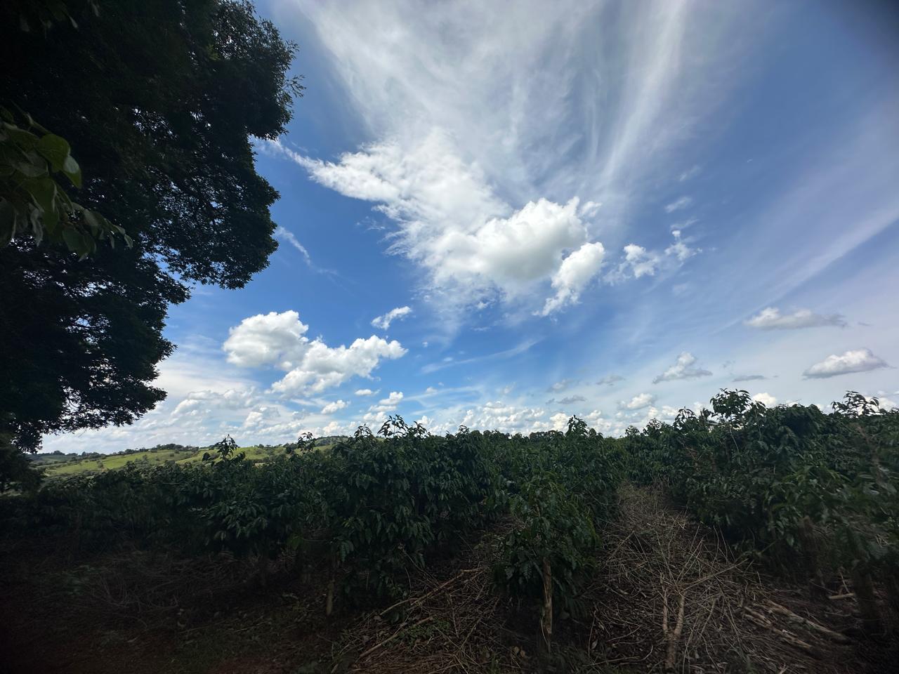 Fazenda à venda com 2 quartos - Foto 20