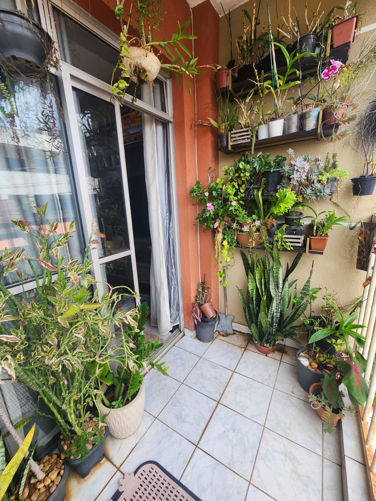 Apartamento à venda com 3 quartos, 74m² - Foto 7