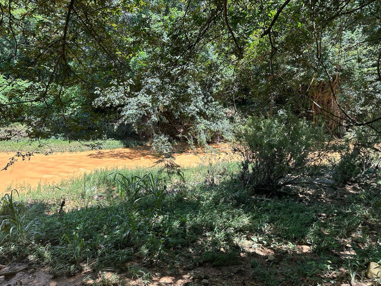 Fazenda à venda com 7 quartos, 18000000m² - Foto 8