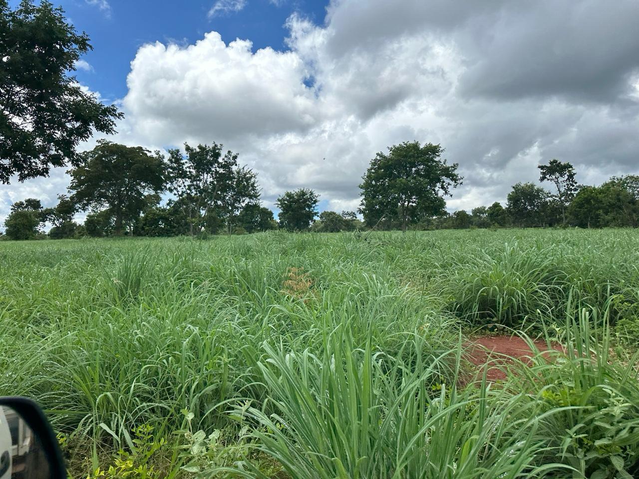 Fazenda à venda com 7 quartos, 18000000m² - Foto 10