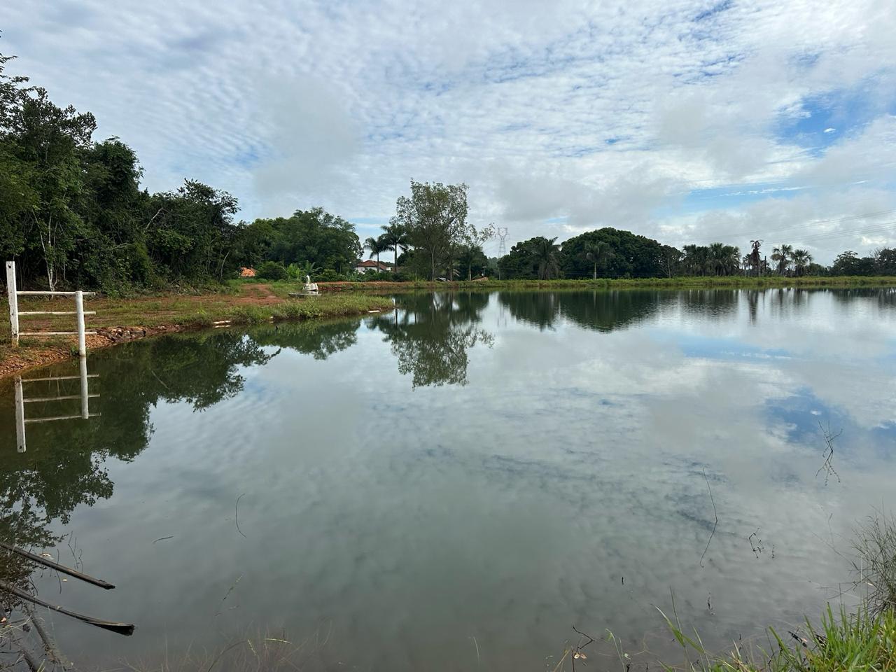 Fazenda à venda com 7 quartos, 18000000m² - Foto 3