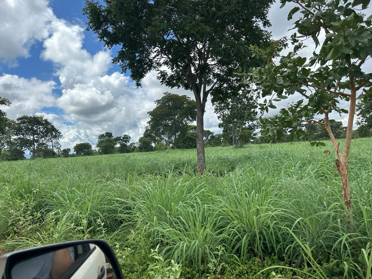 Fazenda à venda com 7 quartos, 18000000m² - Foto 5