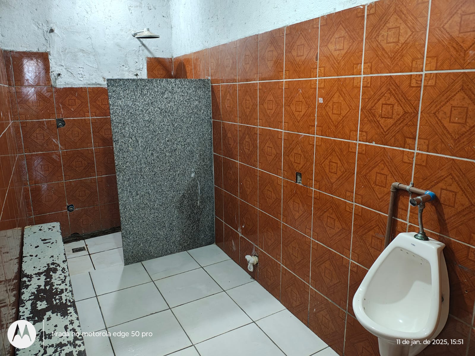 Loja-Salão à venda com 1 quarto, 800m² - Foto 10