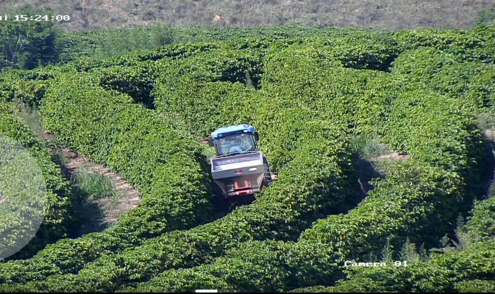 Fazenda à venda com 1 quarto, 1490000m² - Foto 2