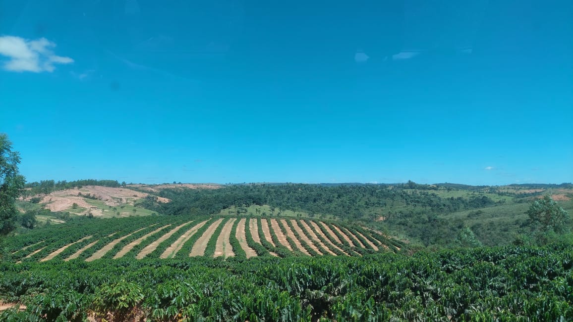 Fazenda à venda com 1 quarto, 1490000m² - Foto 4