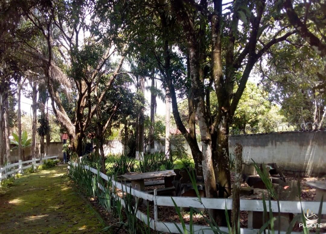 Chácara à venda com 3 quartos, 8000m² - Foto 16