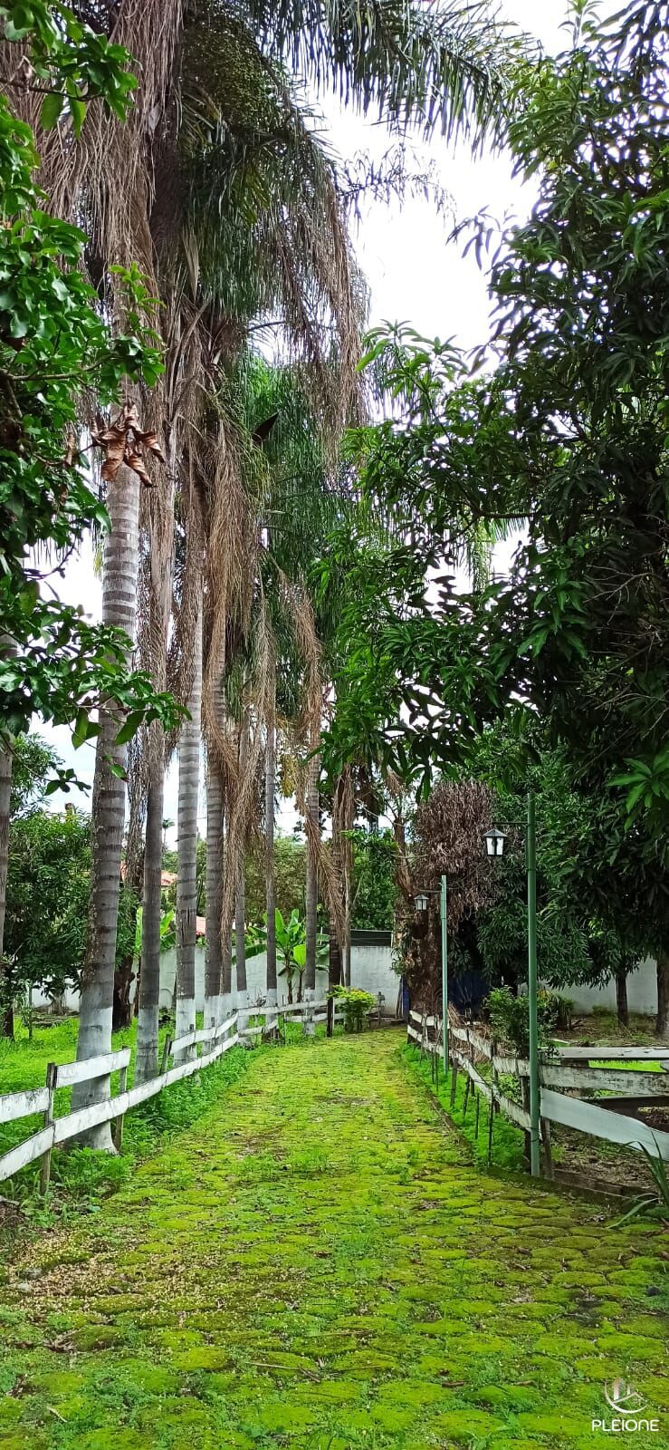 Chácara à venda com 3 quartos, 8000m² - Foto 20