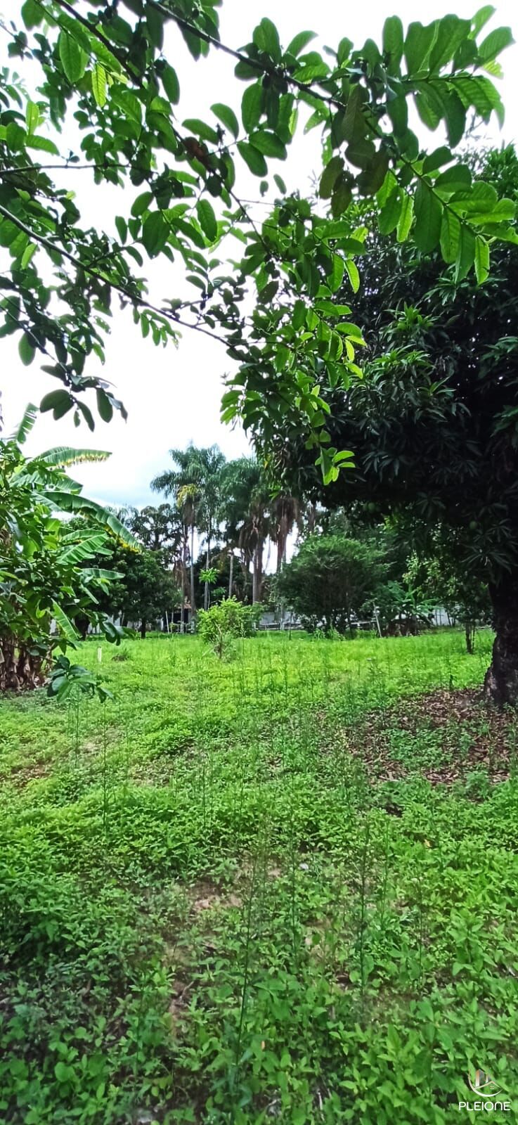 Chácara à venda com 3 quartos, 8000m² - Foto 21