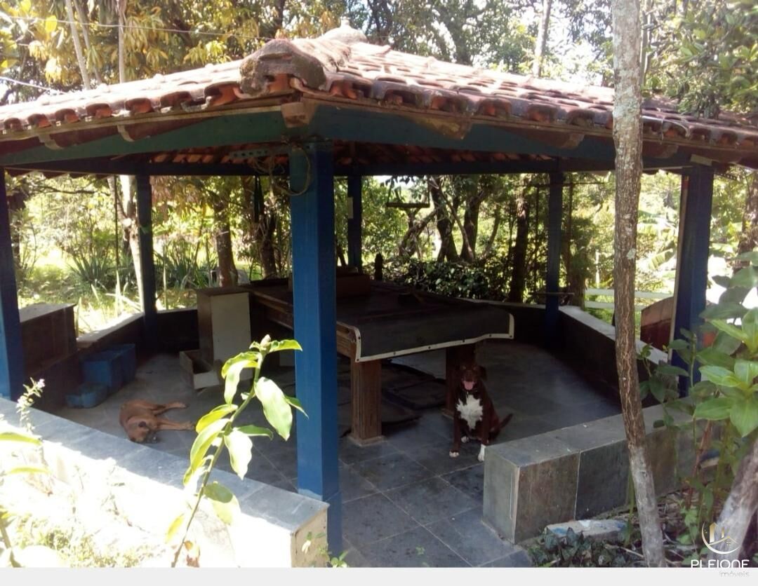 Chácara à venda com 3 quartos, 8000m² - Foto 15