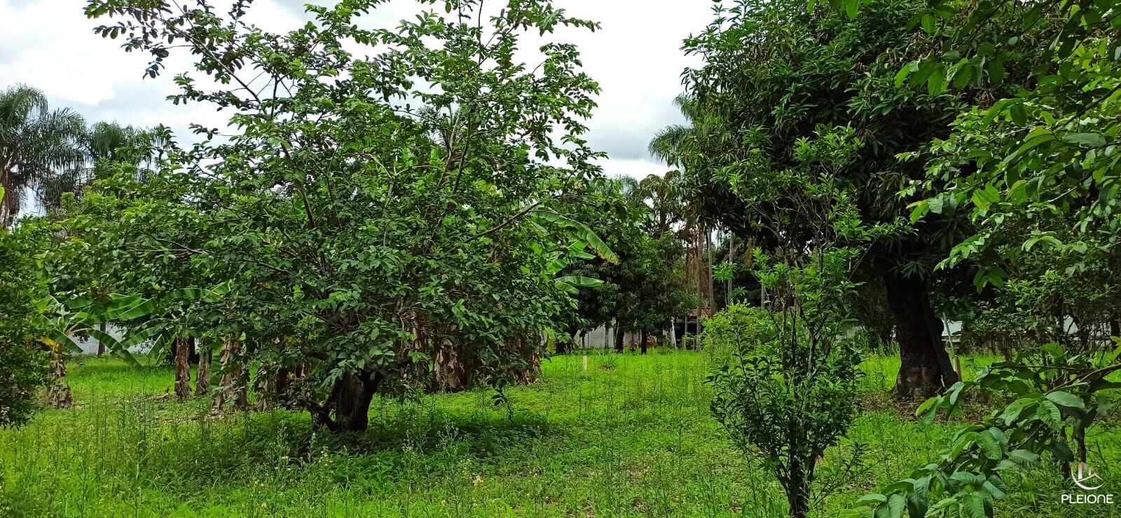 Chácara à venda com 3 quartos, 8000m² - Foto 24