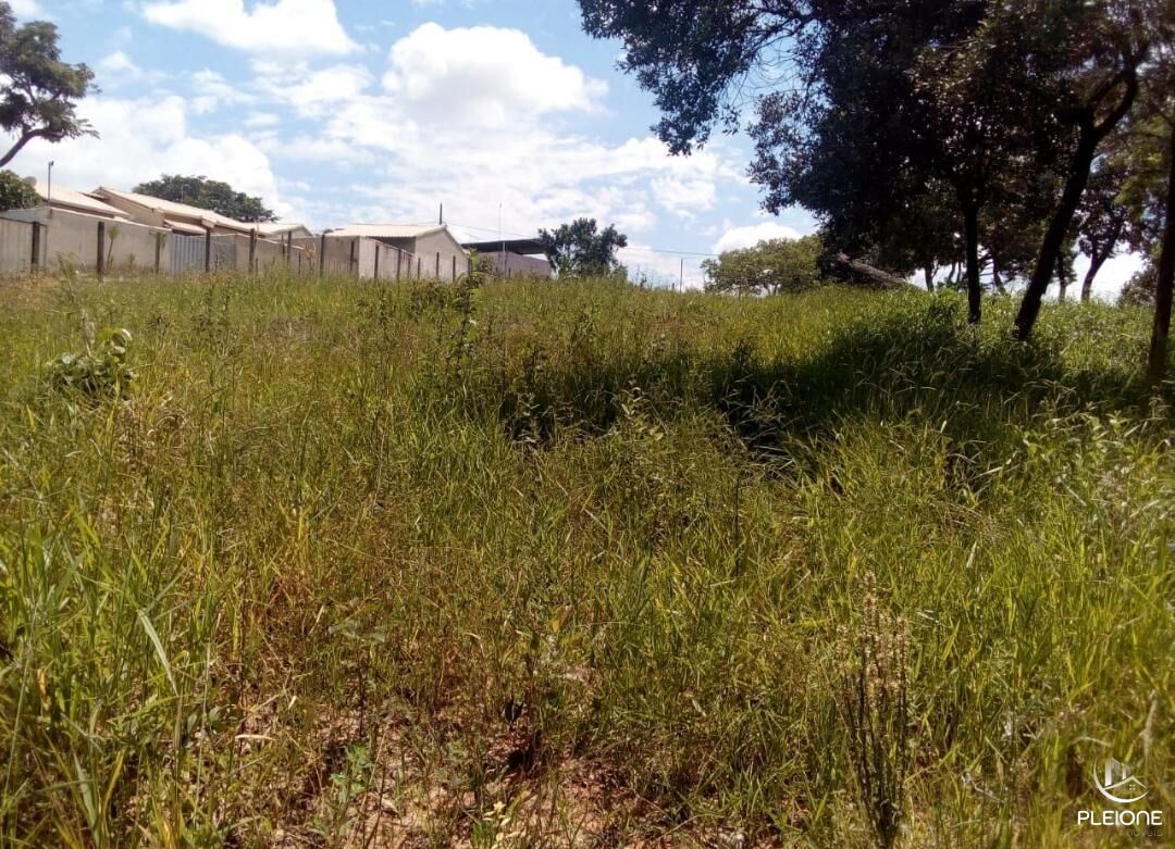 Chácara à venda com 3 quartos, 8000m² - Foto 13