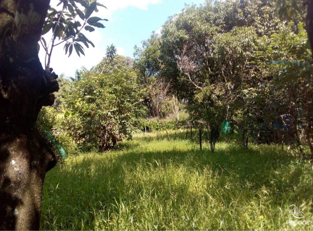 Chácara à venda com 3 quartos, 8000m² - Foto 14