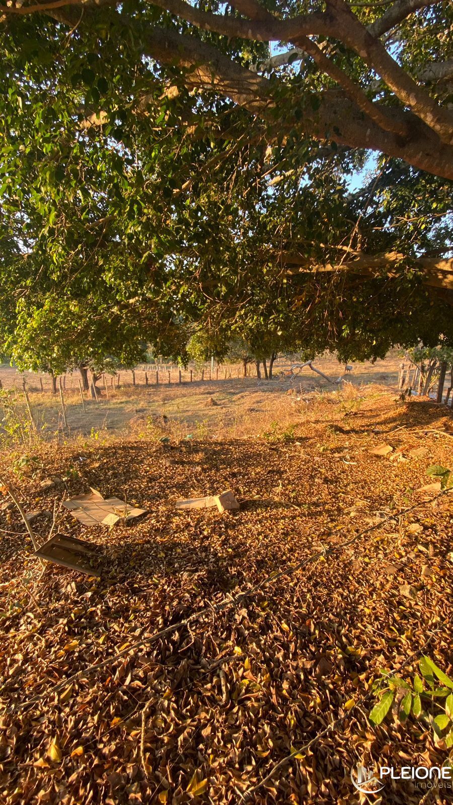 Terreno à venda, 300m² - Foto 2