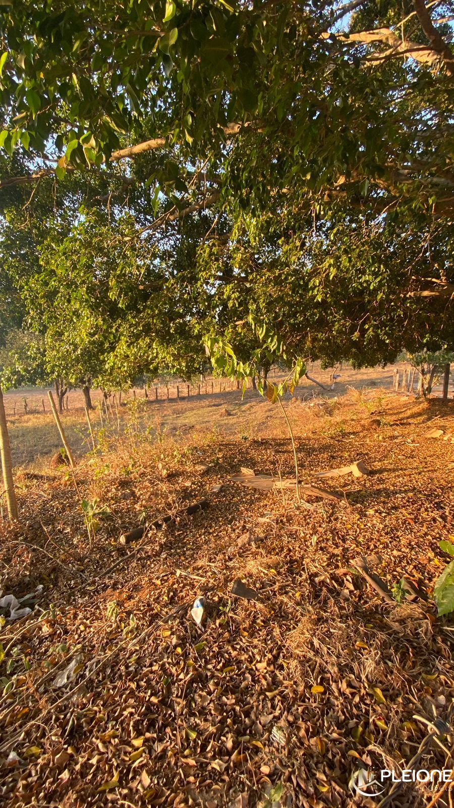Terreno à venda, 300m² - Foto 4