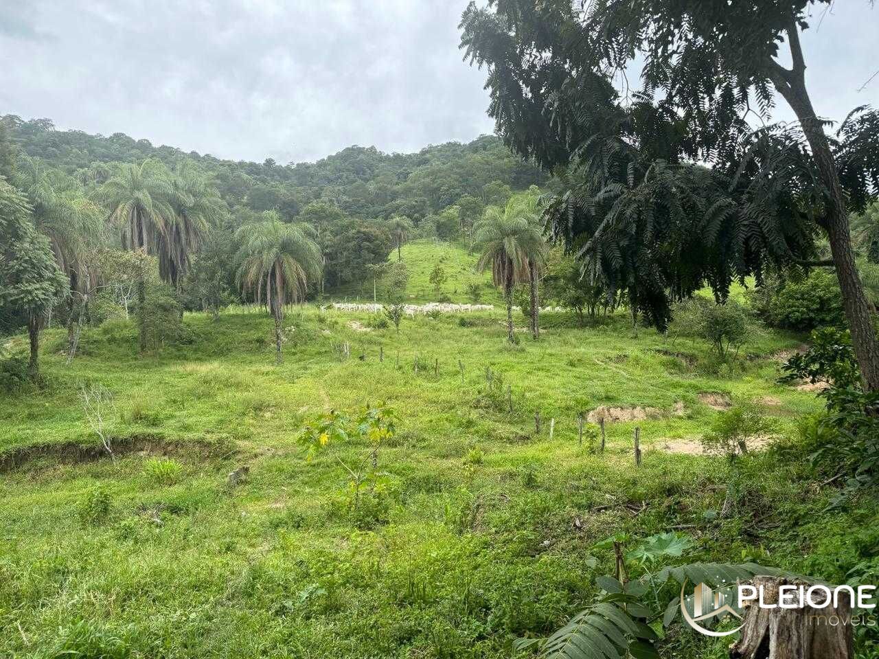 Chácara à venda com 1 quarto, 37m² - Foto 7