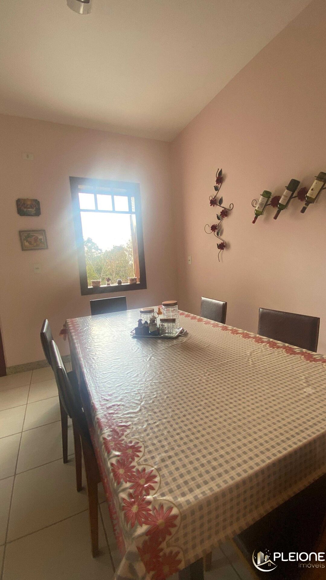 Chácara à venda com 3 quartos, 7400m² - Foto 18