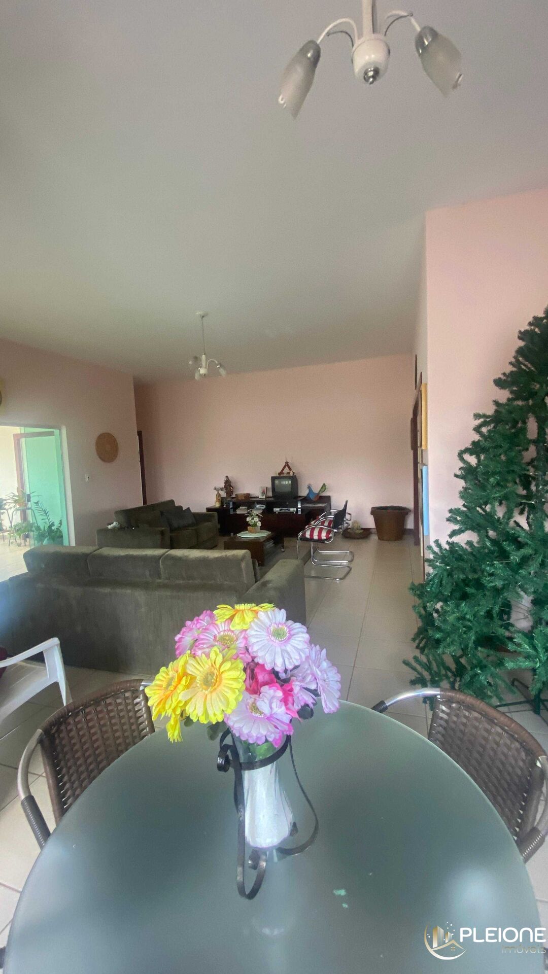 Chácara à venda com 3 quartos, 7400m² - Foto 16
