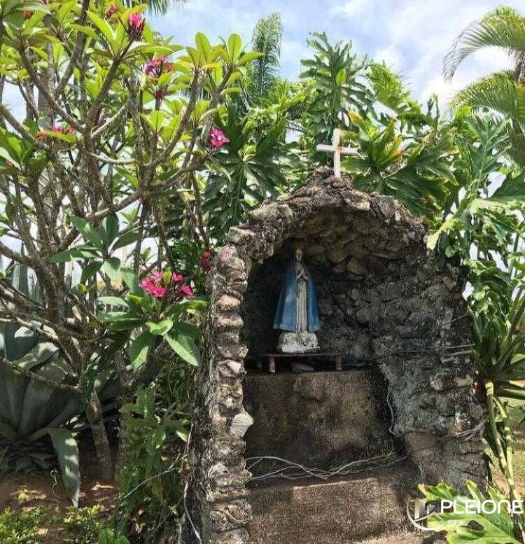 Chácara à venda com 5 quartos, 11600m² - Foto 22