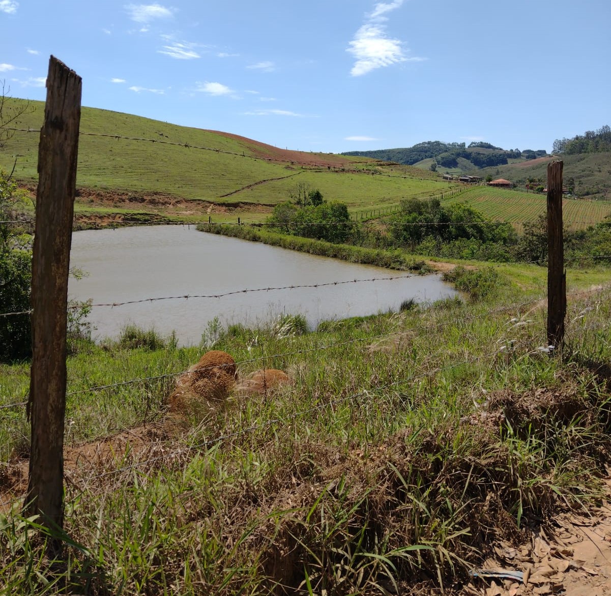Fazenda à venda com 1 quarto, 1331000m² - Foto 9