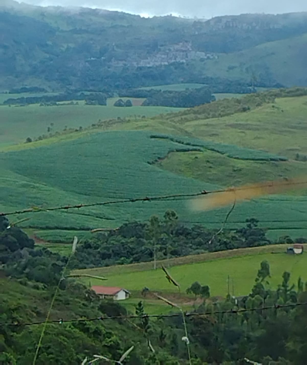 Fazenda à venda com 1 quarto, 1331000m² - Foto 5