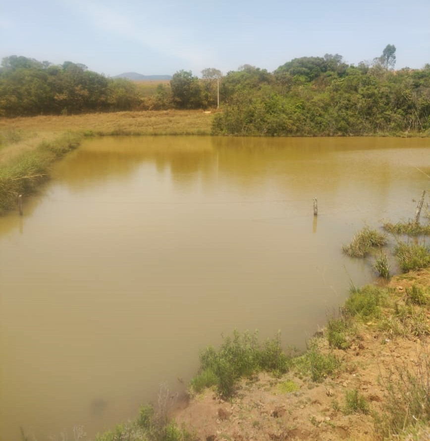Fazenda à venda com 1 quarto, 1331000m² - Foto 7