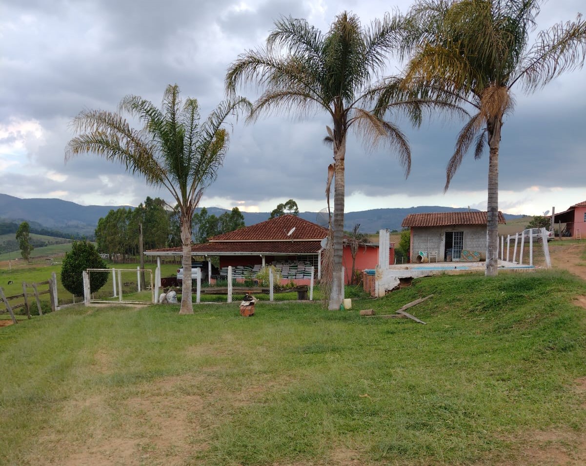 Fazenda à venda com 1 quarto, 1331000m² - Foto 6