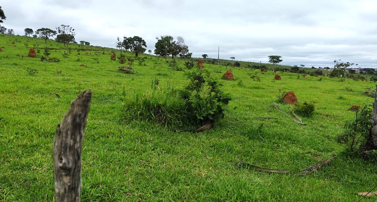 Fazenda à venda com 1 quarto, 950000m² - Foto 21