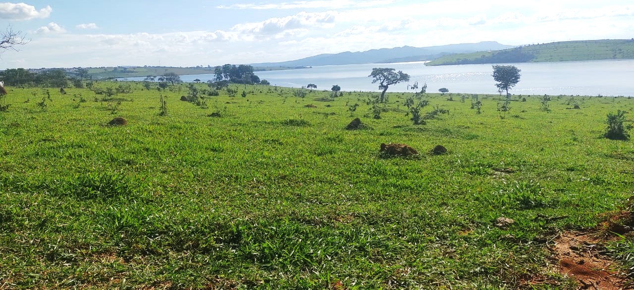 Fazenda à venda com 1 quarto, 950000m² - Foto 12