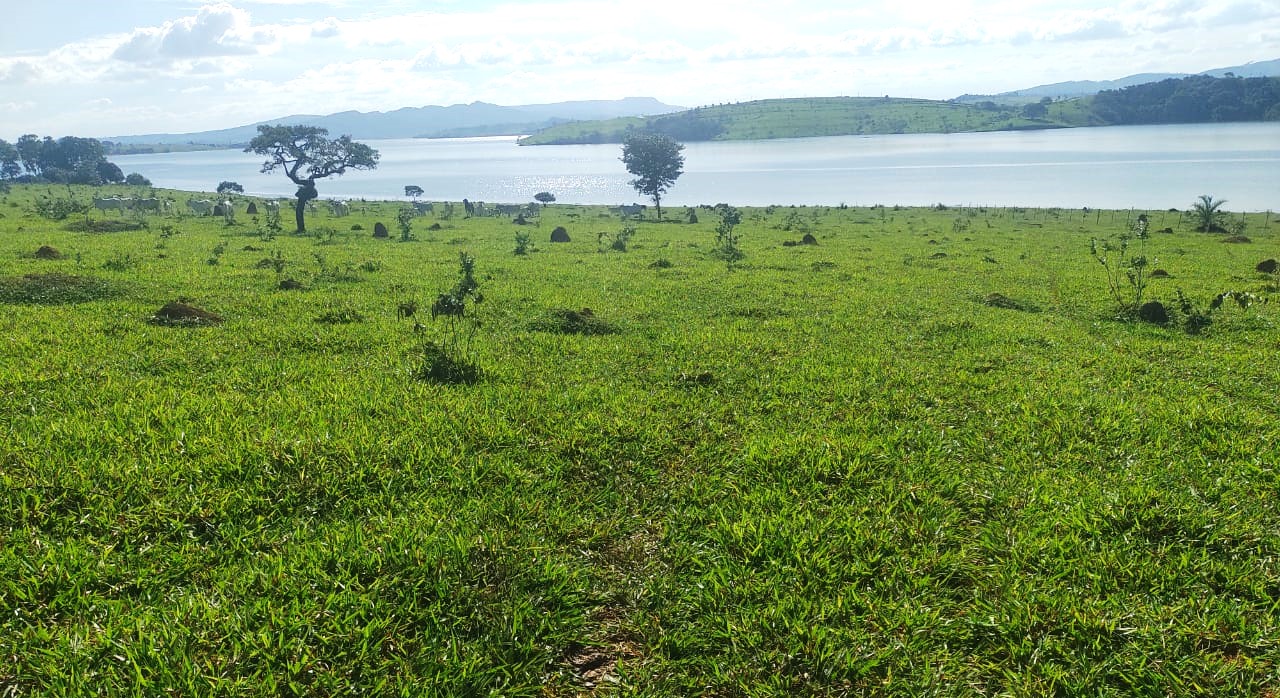 Fazenda à venda com 1 quarto, 950000m² - Foto 5