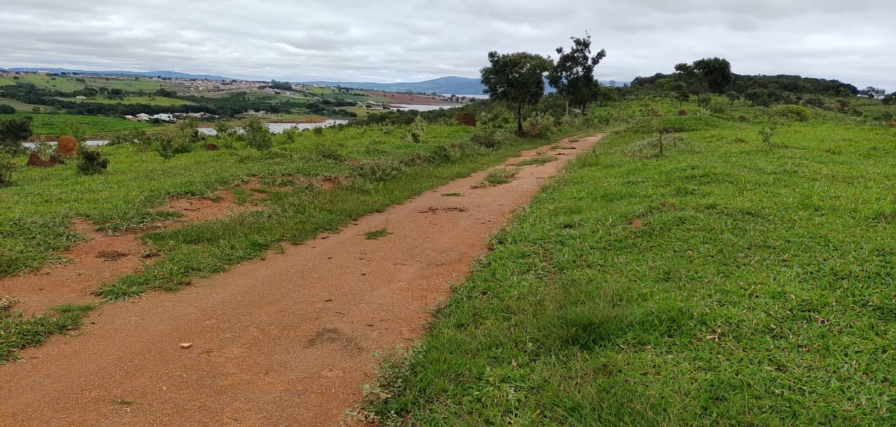 Fazenda à venda com 1 quarto, 950000m² - Foto 23