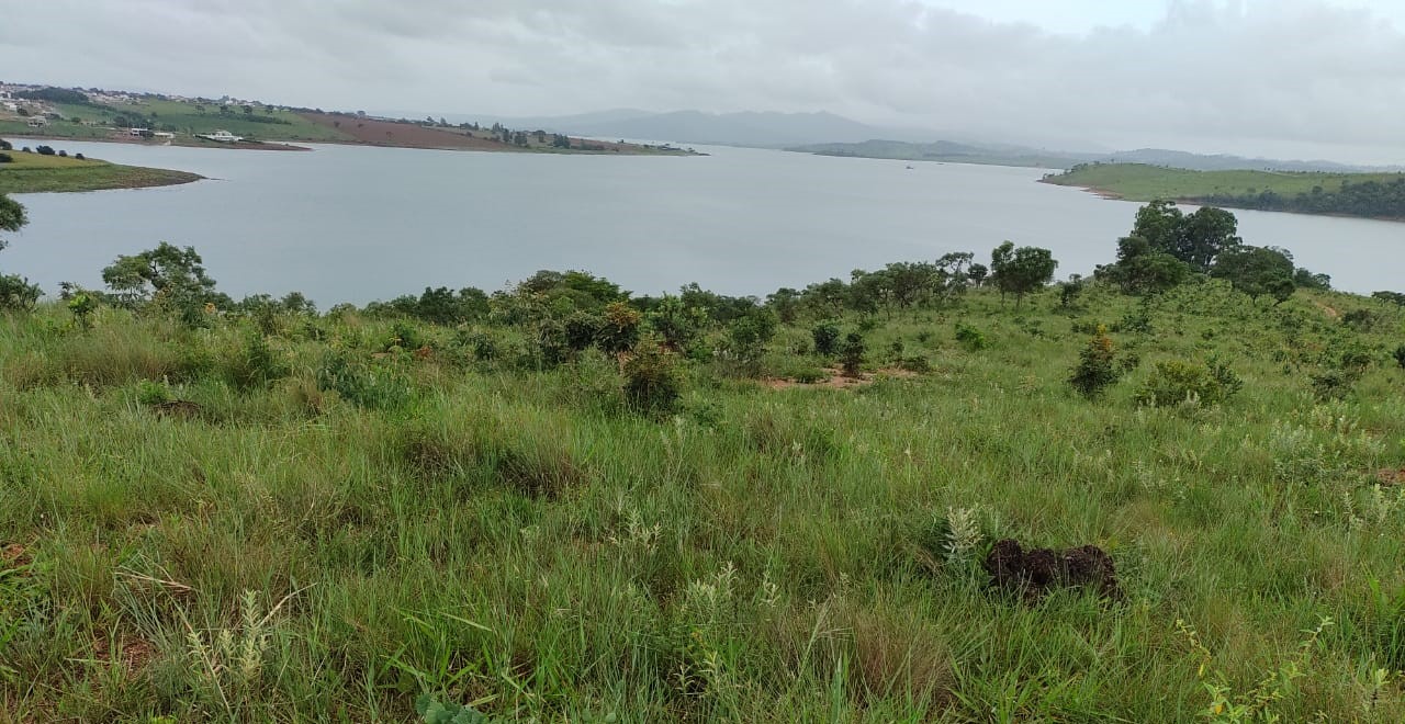 Fazenda à venda com 1 quarto, 950000m² - Foto 13