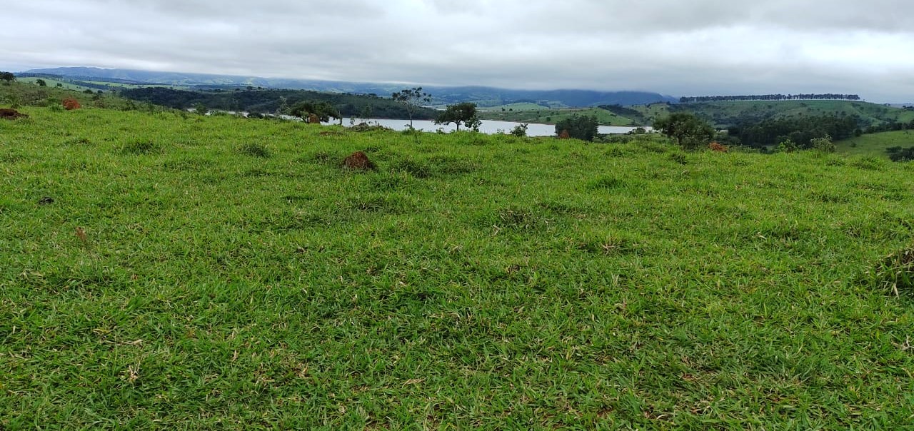 Fazenda à venda com 1 quarto, 950000m² - Foto 15