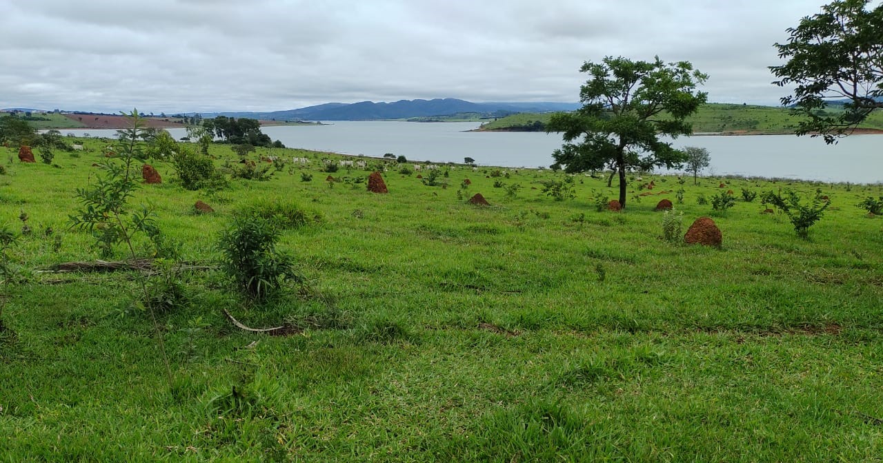Fazenda à venda com 1 quarto, 950000m² - Foto 9
