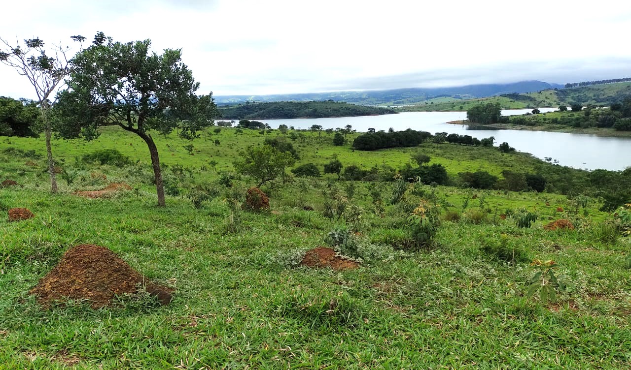 Fazenda à venda com 1 quarto, 950000m² - Foto 11