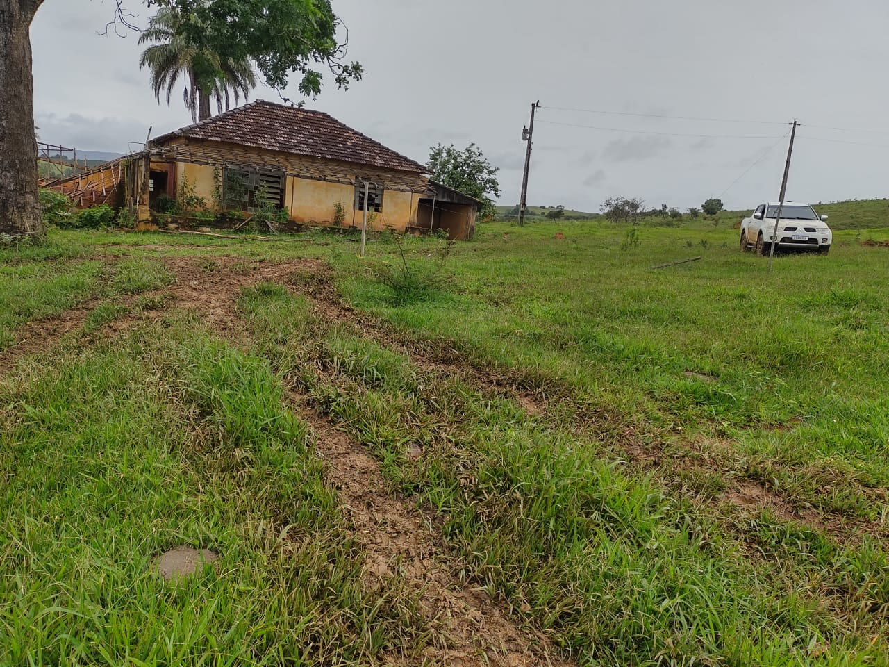 Fazenda à venda com 1 quarto, 950000m² - Foto 19