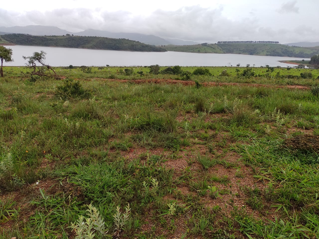 Fazenda à venda com 1 quarto, 950000m² - Foto 17