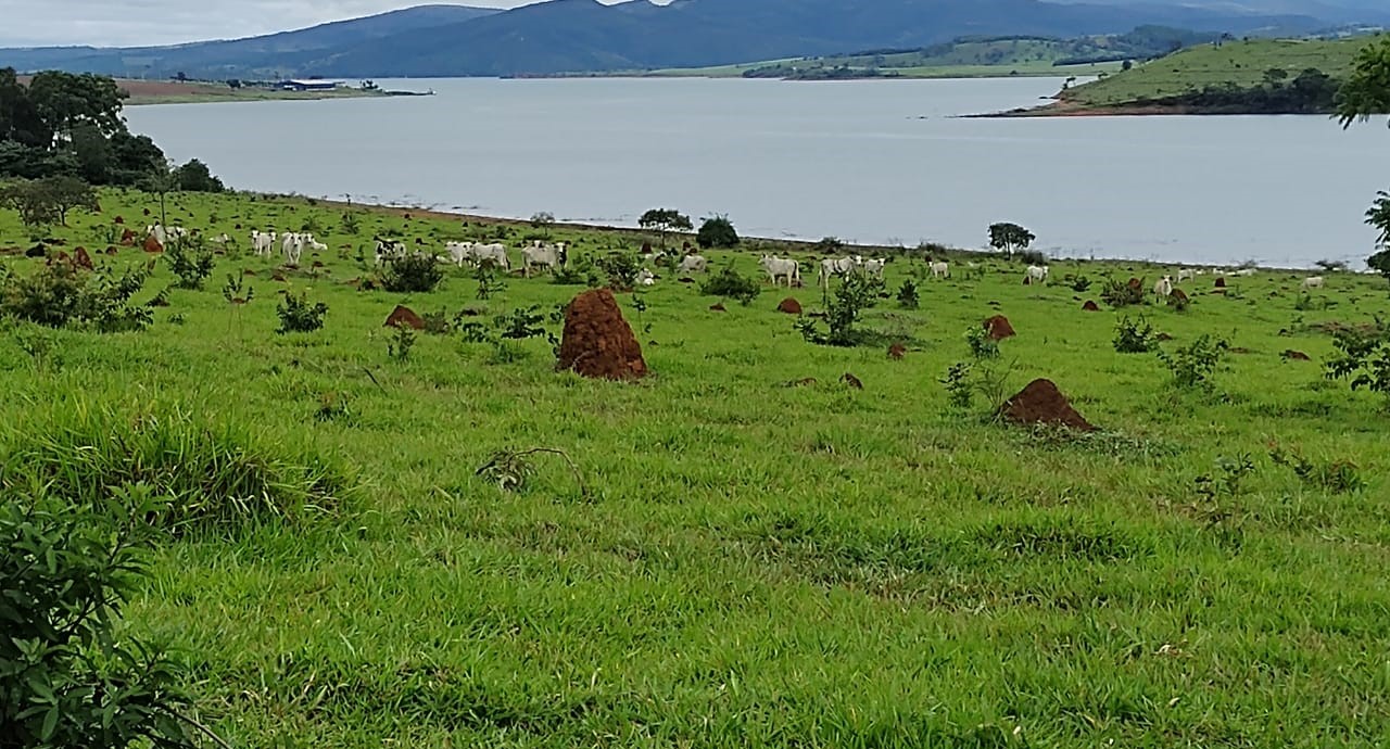 Fazenda à venda com 1 quarto, 950000m² - Foto 2