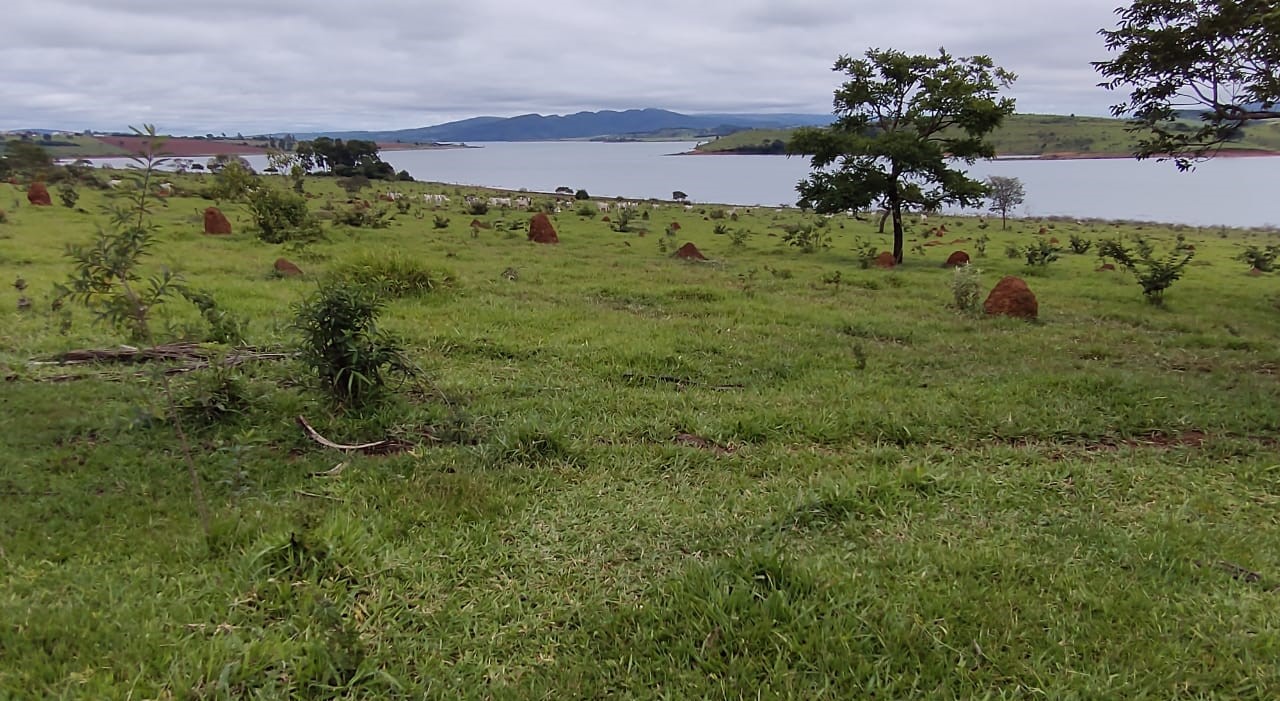 Fazenda à venda com 1 quarto, 950000m² - Foto 14